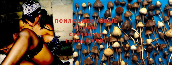 apvp Богданович