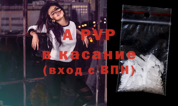 тгк Бородино